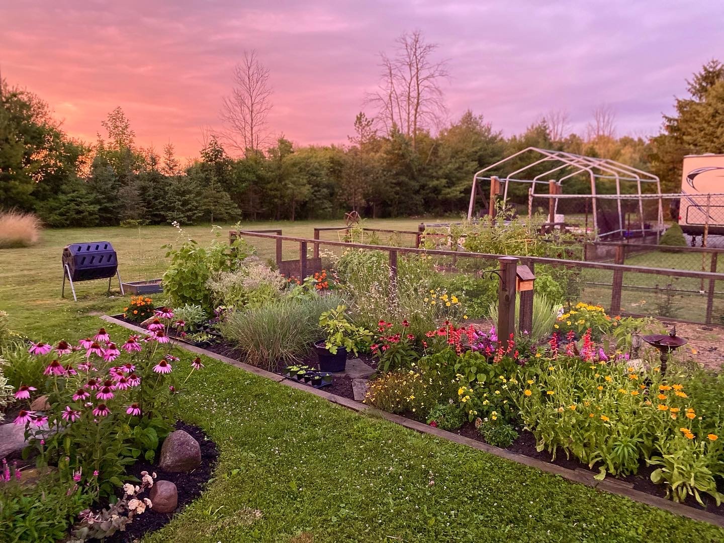 A vibrant garden with colorful flowers under a pink sunset sky. A grill and greenhouse are visible in the background.