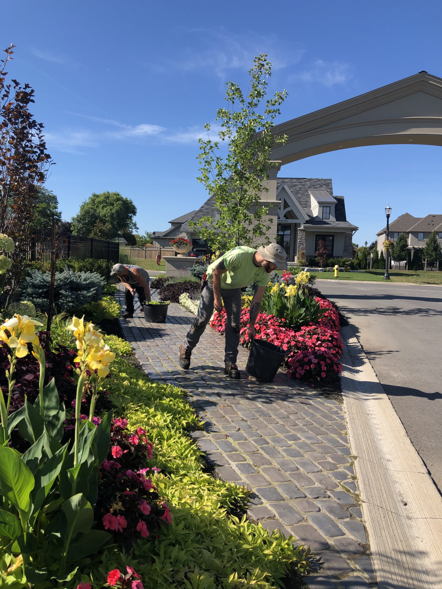 Two people gardening near a vibrant flowerbed under a sunny sky, with houses and a decorative archway in the background.