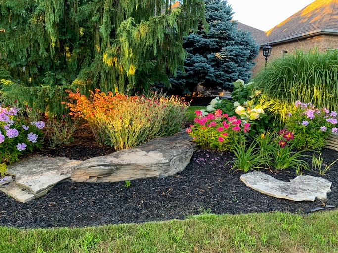 A beautifully landscaped garden with vibrant flowers and rocks, bordered by evergreen trees and a brick house in the sunlight.