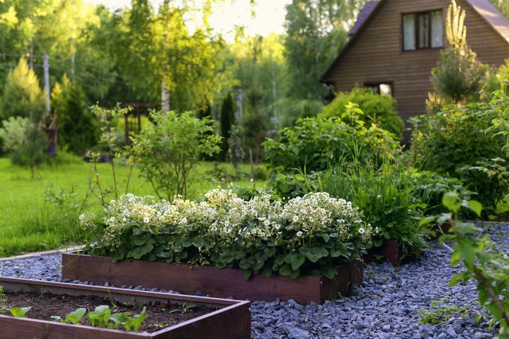 A lush garden with blooming flowers and greenery surrounds a wooden house. Sunlight filters through the trees, creating a serene atmosphere.