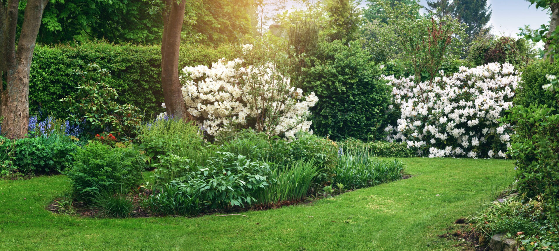 A lush garden features neatly trimmed lawns, blooming white flowers, and dense greenery under sunlight. Trees frame a serene, picturesque scene.