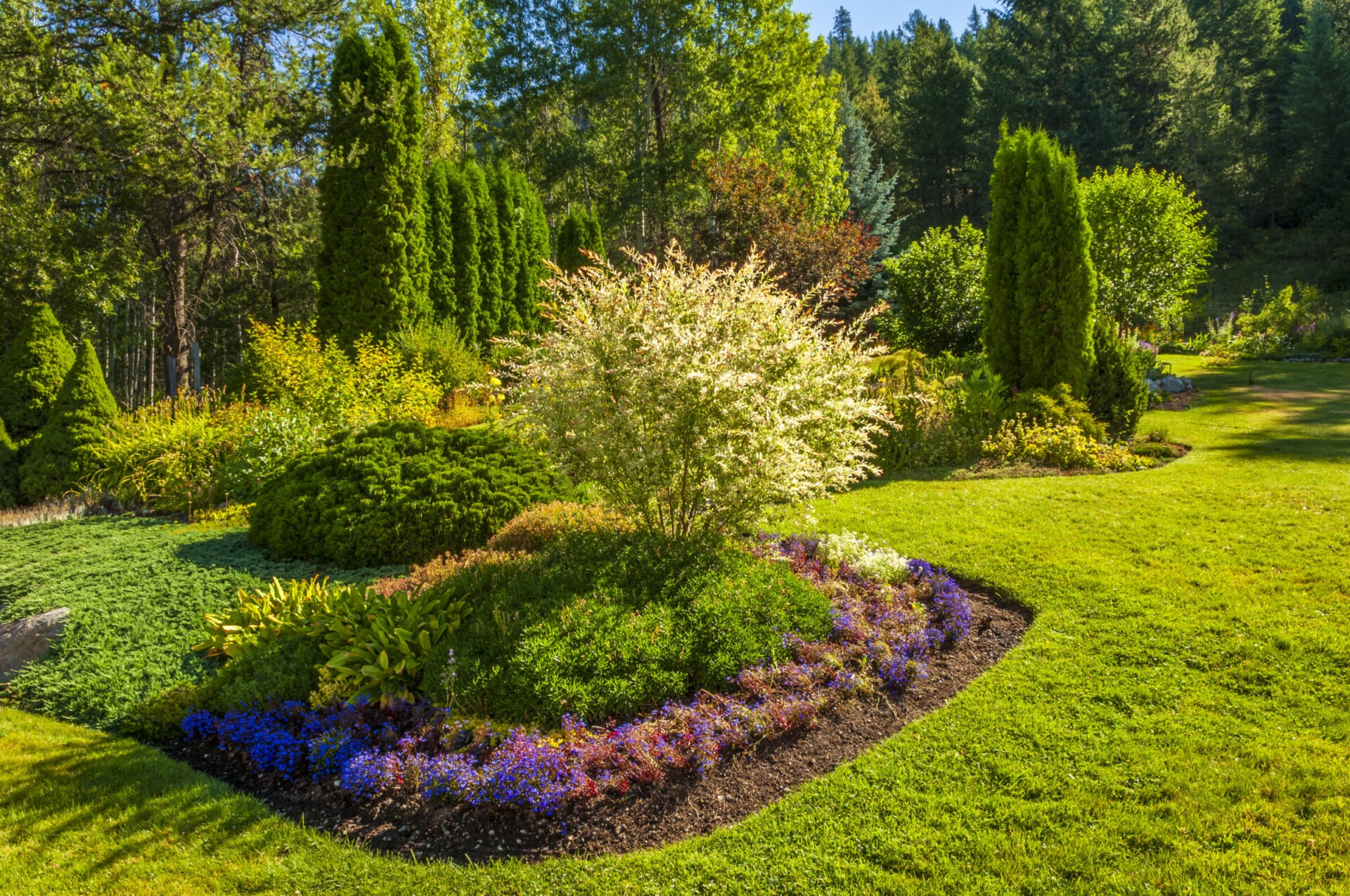 A lush garden with colorful flowers, various shrubs, and tall trees under a clear blue sky, creating a serene natural landscape.