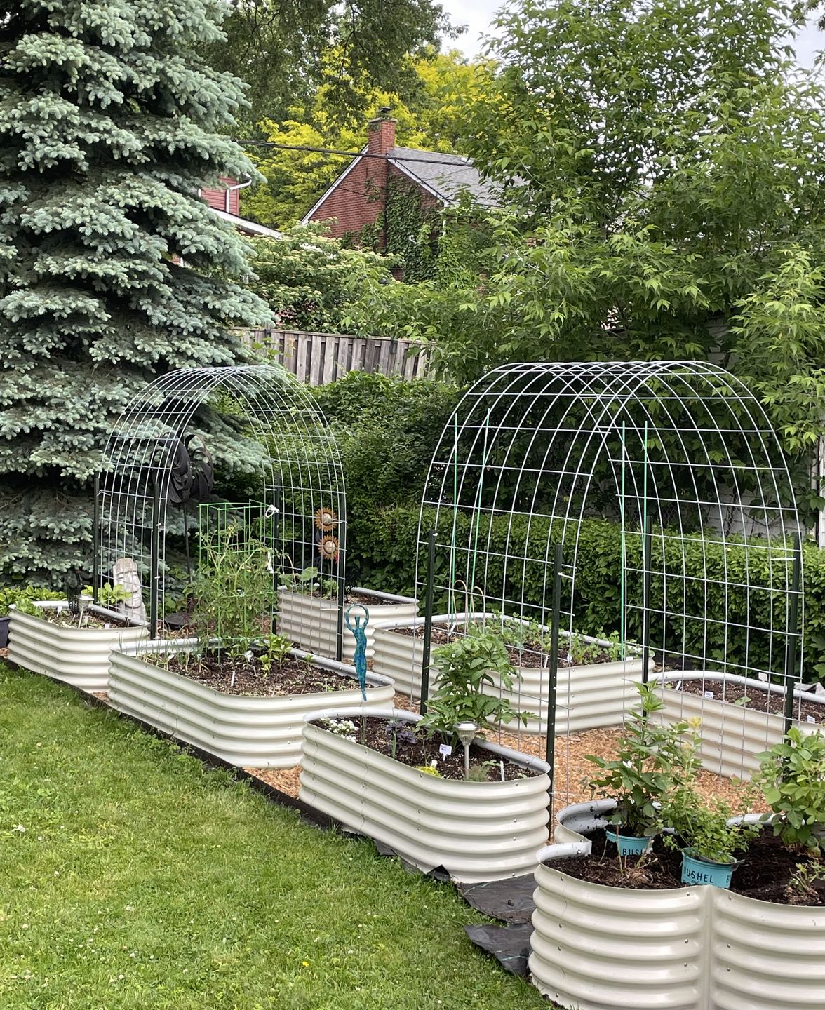 Garden with raised beds and metal trellises, surrounded by lush greenery and trees, a red brick house in the background. Peaceful outdoor setting.