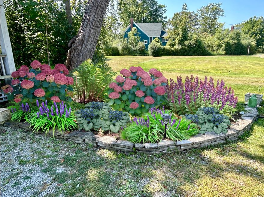 A vibrant garden with various colorful flowers and greenery, surrounded by a stone border. A house and trees are visible in the background.